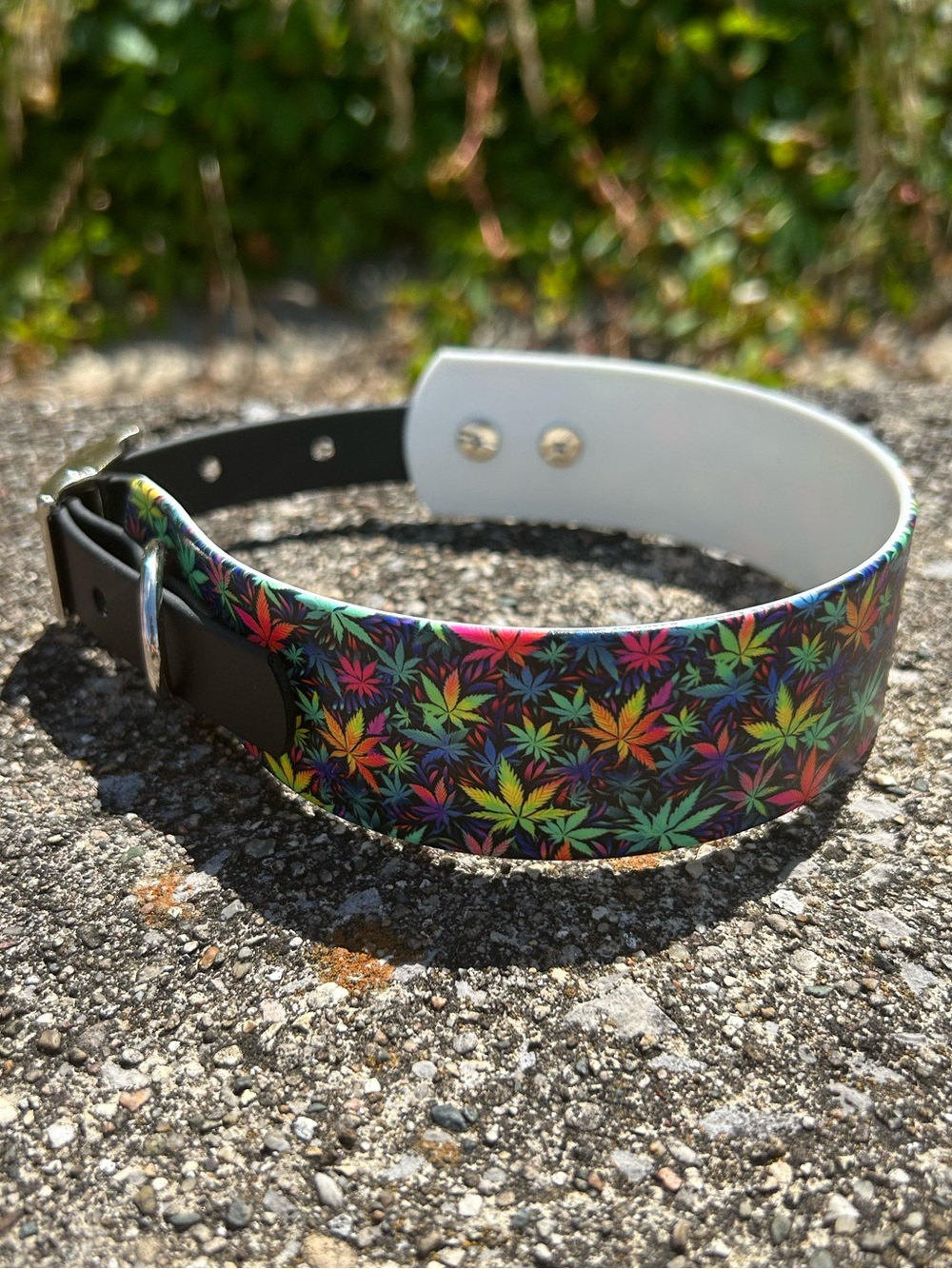 Biothane Collar -L7